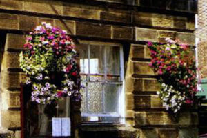 The hanging baskets at the Town Hall.