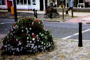 A floral tub at the traffic lights on the High Street.