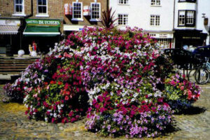 The Ziggurat floral display feature, introduced in 2002.