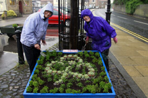 Planting the Girlguiding centenary display in the rain.