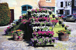 Planting in the original Ziggurat."