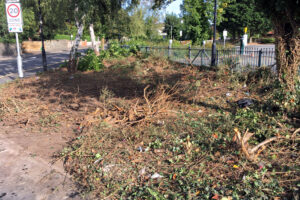The Showfield car park community garden after cutting down the existing foliage.