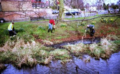 Keeping the grassy banks tidy