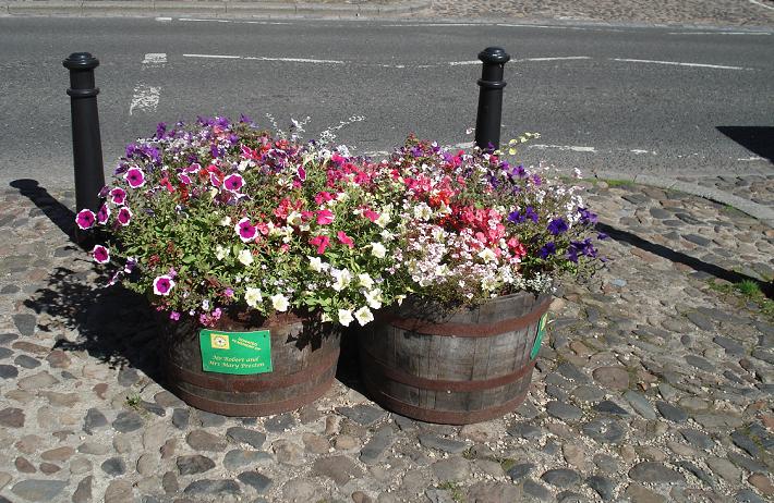A group of 4 tubs, in Market Square. Picture taken on 22/08/2010, about 10 weeks after planting.