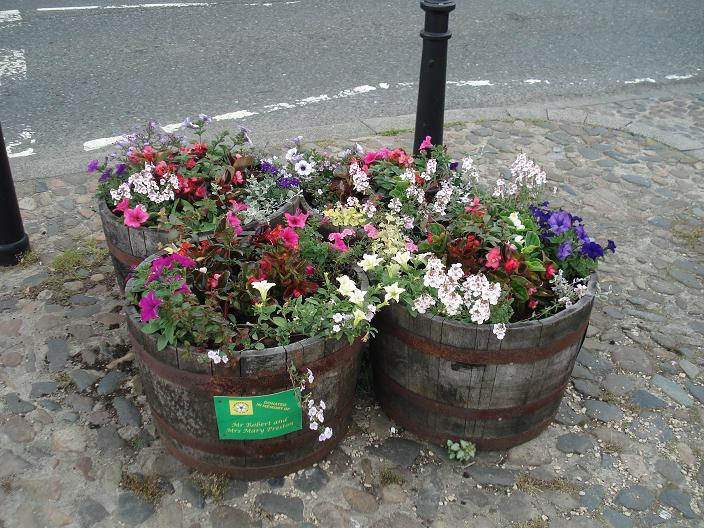 A group of 4 tubs, in Market Square. Picture taken on 24/6/2010, about 10 days after planting.