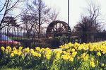 The mill wheel in its new location